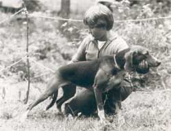 ENSIMM&Auml;INEN KOIRAN&Auml;YTTELY